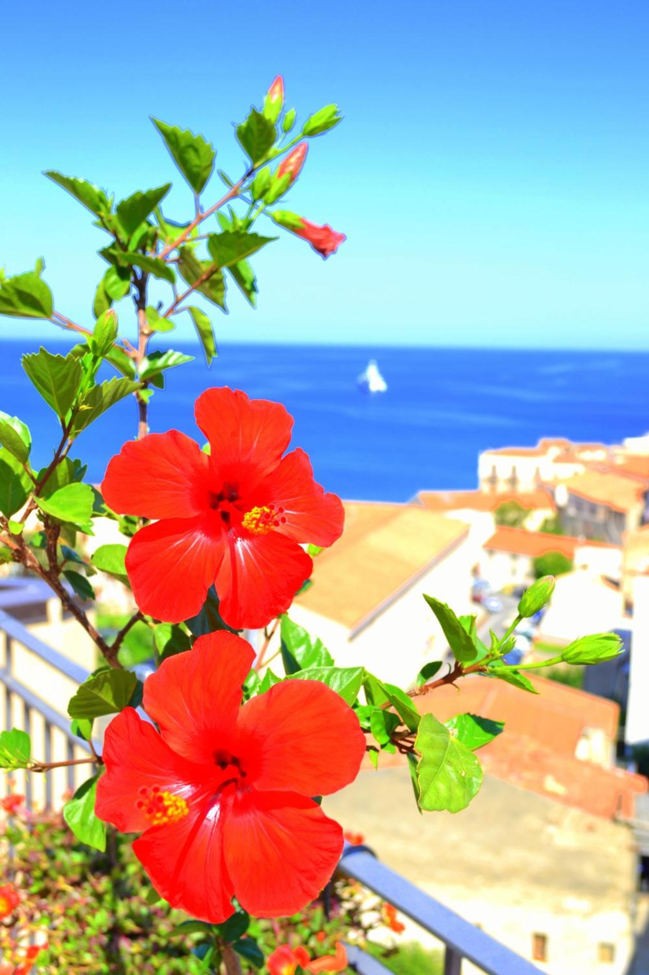 Bed and Breakfast Scirocco Cefalù Exteriér fotografie